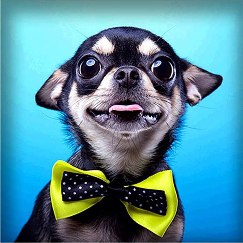 Digital Animal Handmade Gifts Home Decoration Gifts - Image 9